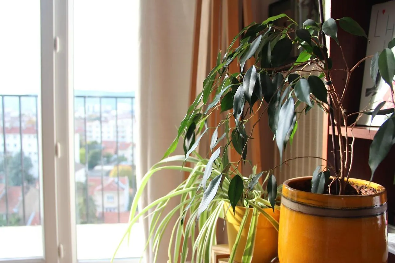 Chambre Zen Chez L'Habitant Valence  Frankreich